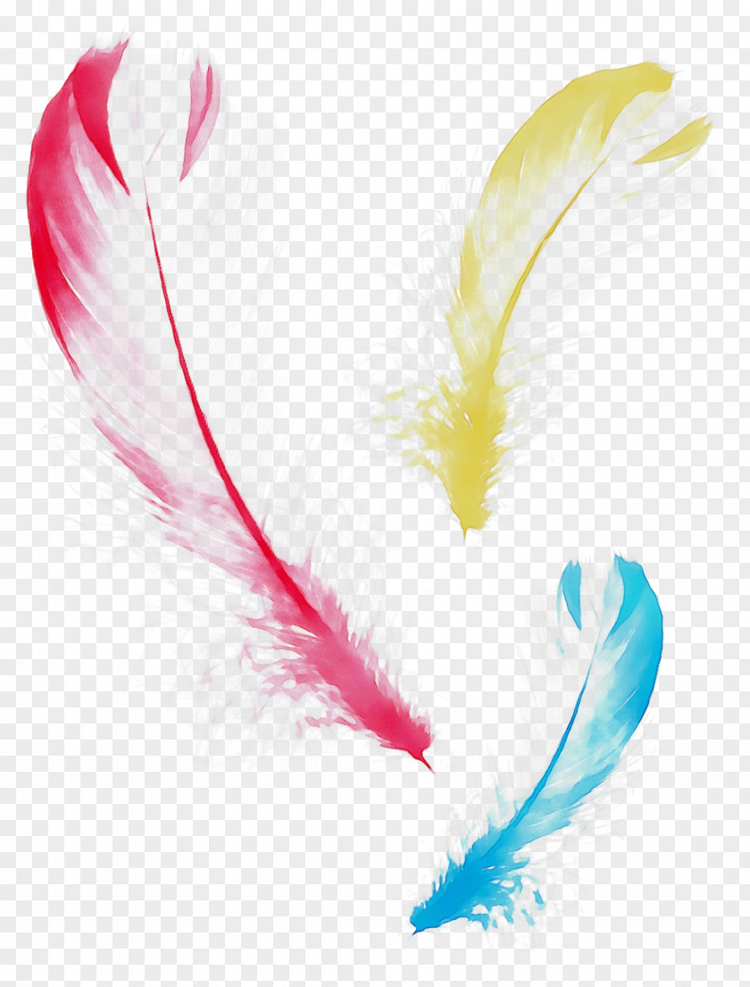 Feather Beak PNG