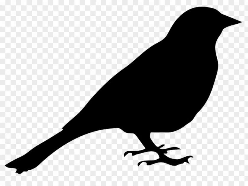 Simple Bird Silhouette Drawing Clip Art PNG