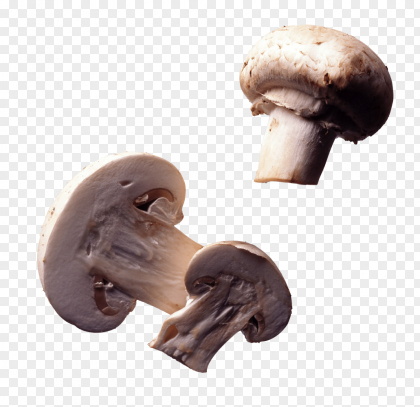 Three Mushrooms Cut In Half Common Mushroom Edible Fungus PNG