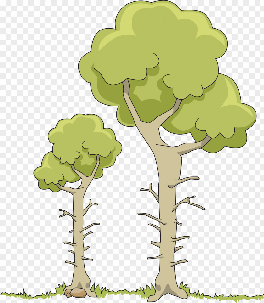 Tree Branch Clip Art PNG