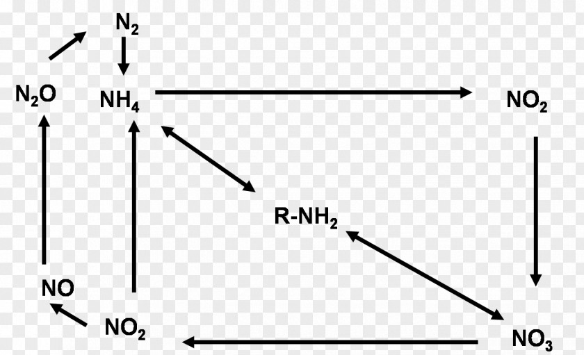 Nitrogen Cycle Triangle PNG