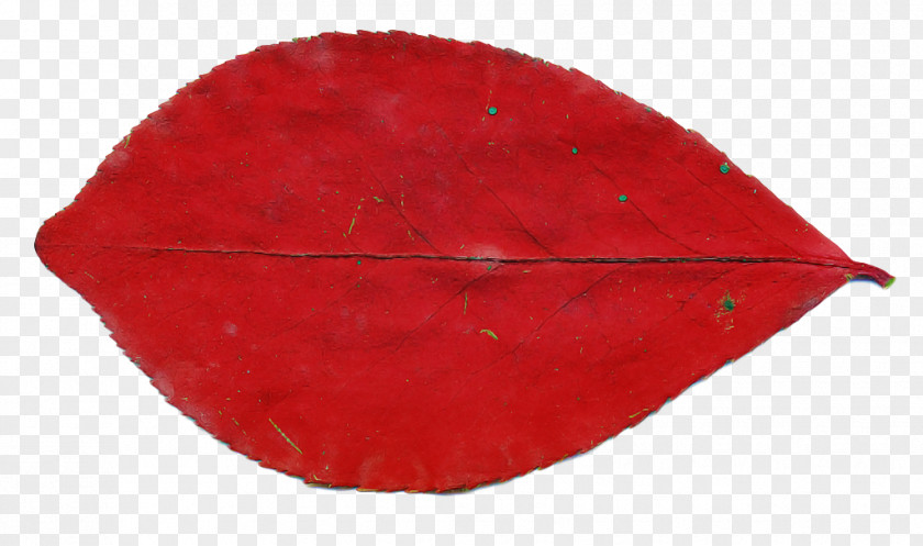 Red Leaf PNG