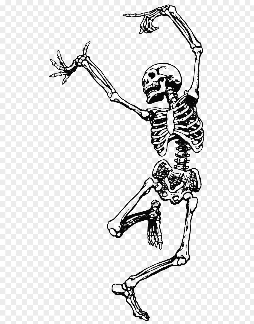 Skull Human Skeleton Dance Clip Art PNG