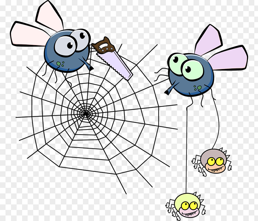 Spider Web Clip Art PNG