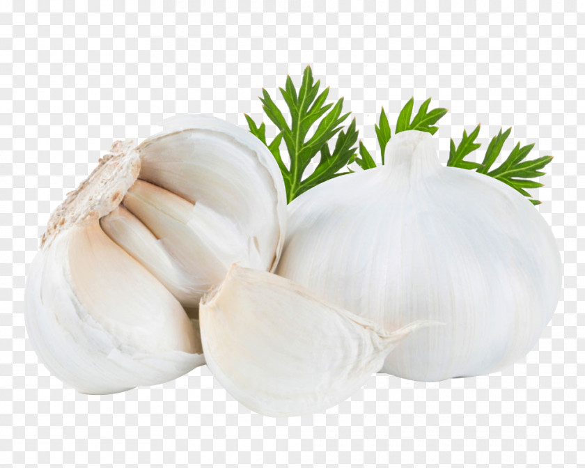 Three Garlic Pesto Press Vegetable Food PNG