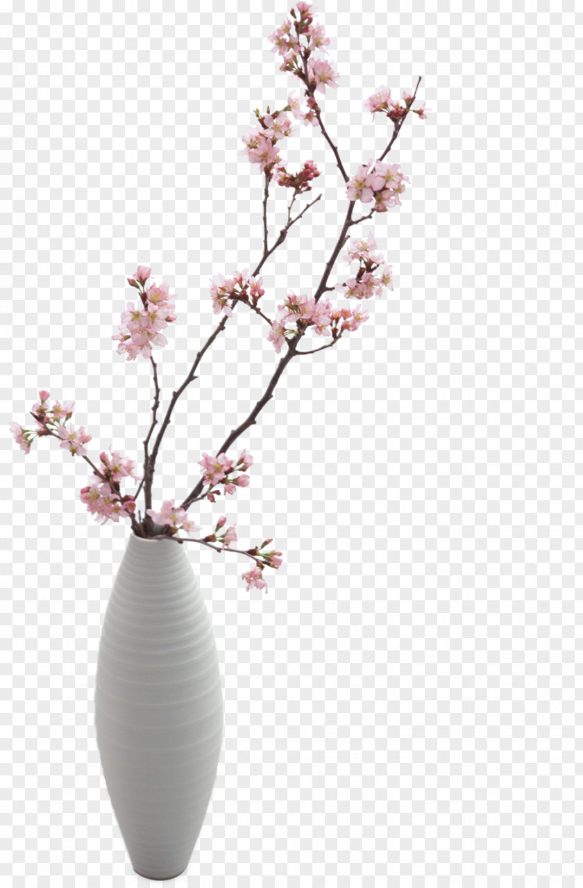 Vase Download PNG