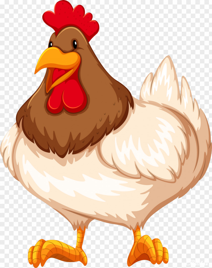 Chicken Buffalo Wing Rooster Clip Art PNG