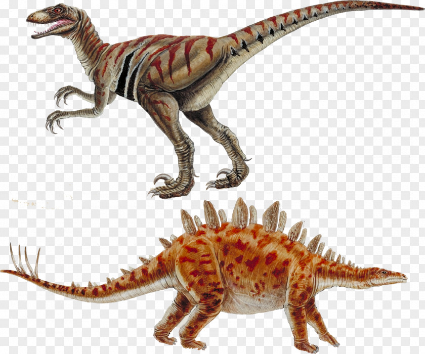 Cretaceous Dinosaur Deinonychus Velociraptor Stegosaurus Allosaurus PNG