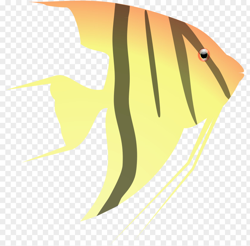 Fin Yellow Fish Cartoon PNG