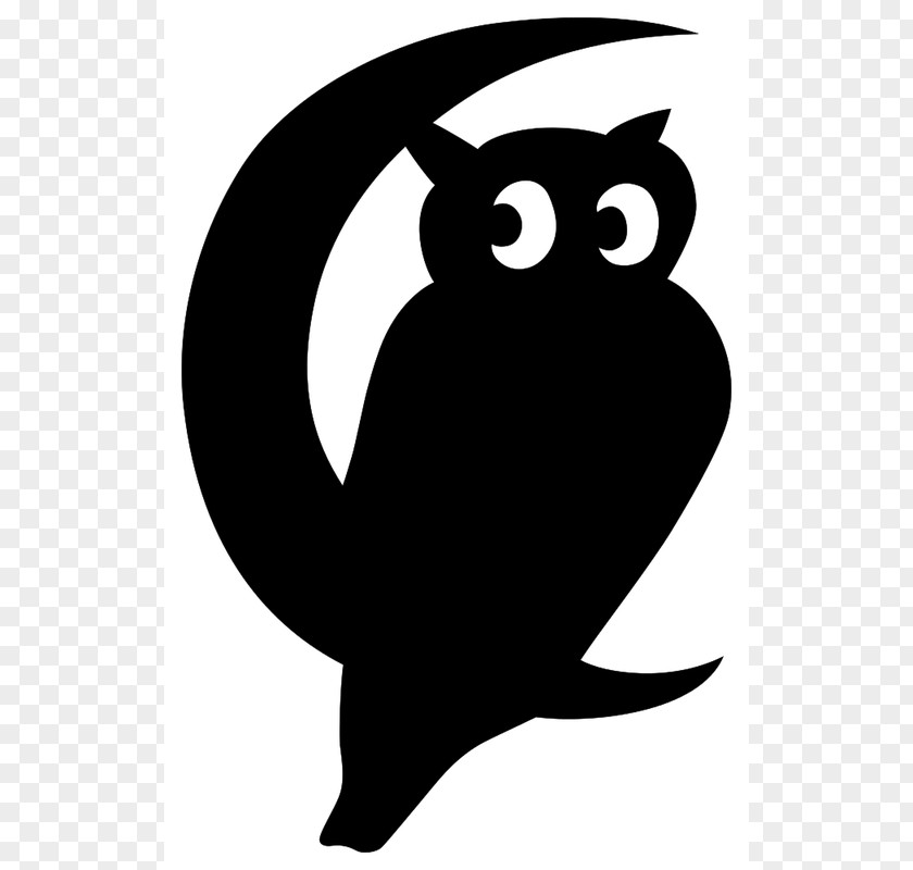 Owl Little Weather Vane Roof Bird PNG