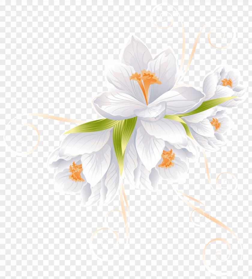 White Flower Decor Transparent Clip Art Image PNG