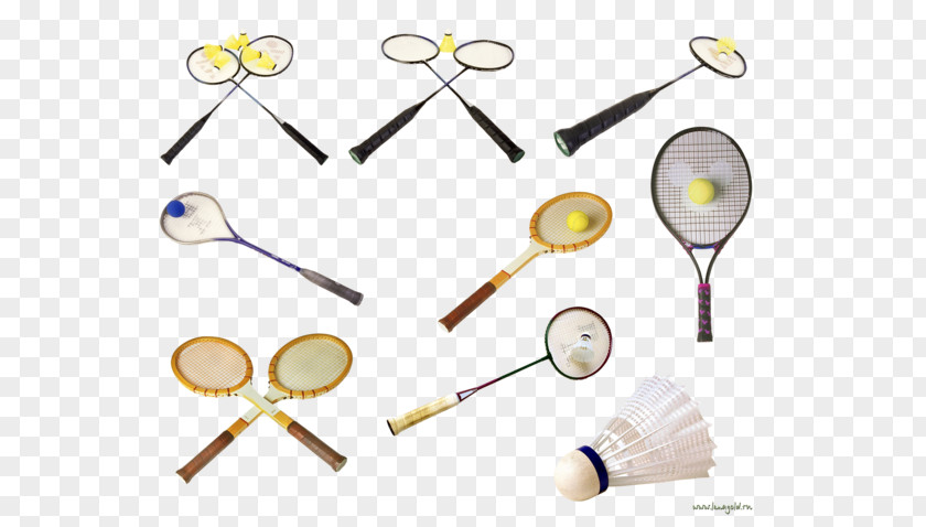 Badminton Badmintonracket Tennis PNG