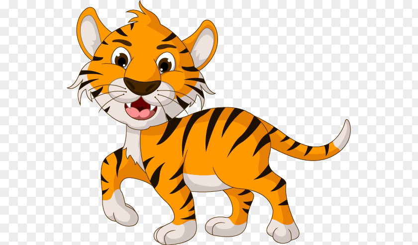 Cartoon Tiger Drawing Illustration PNG