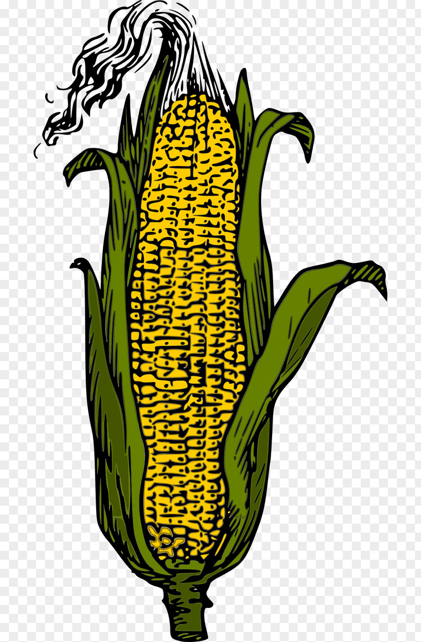Corn Candy On The Cob Vector Graphics Clip Art PNG