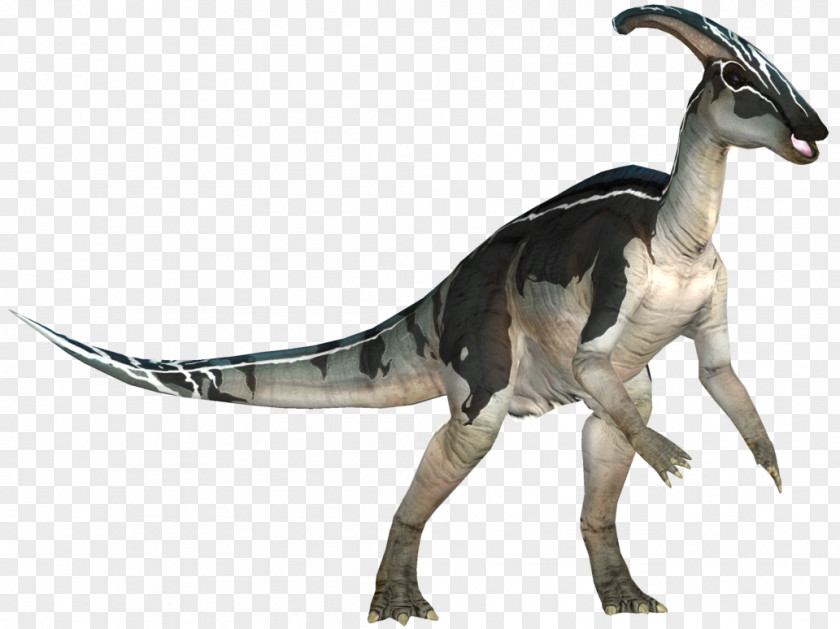 Dinosaur Velociraptor Parasaurolophus Troodon DeviantArt PNG