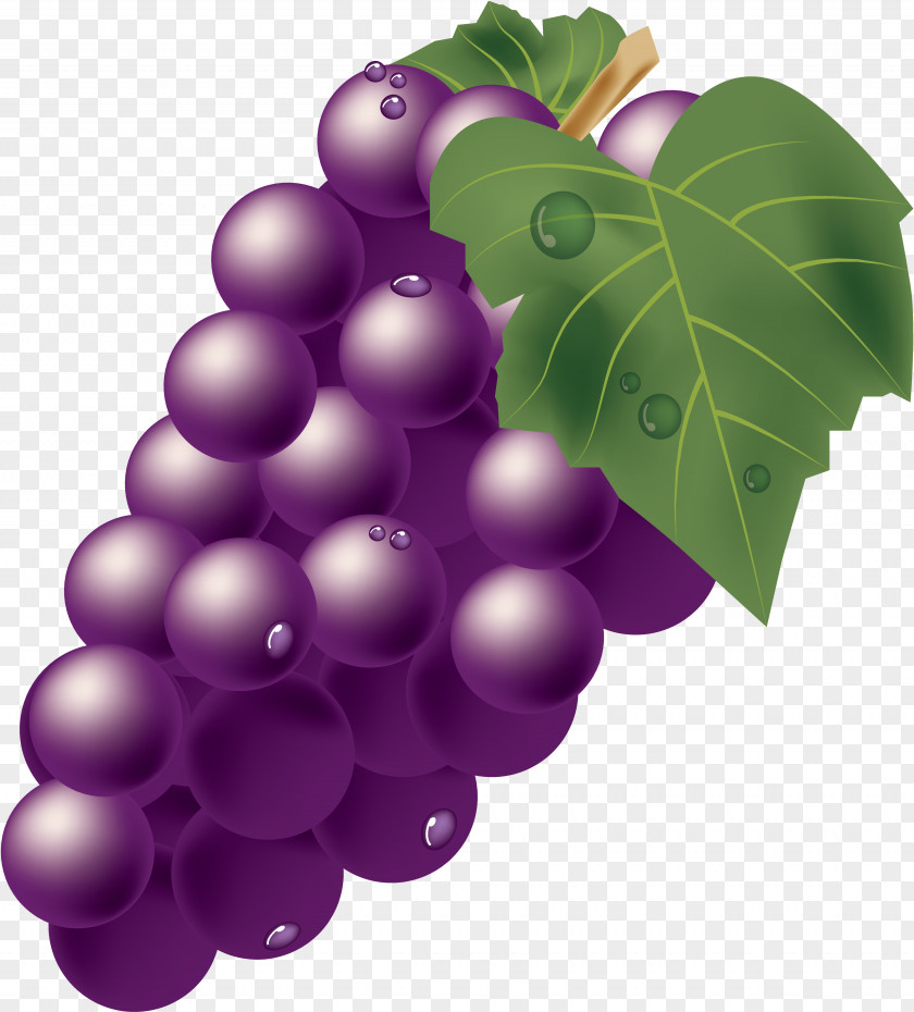 Grape Muscat Illustration Photography Vector Graphics PNG