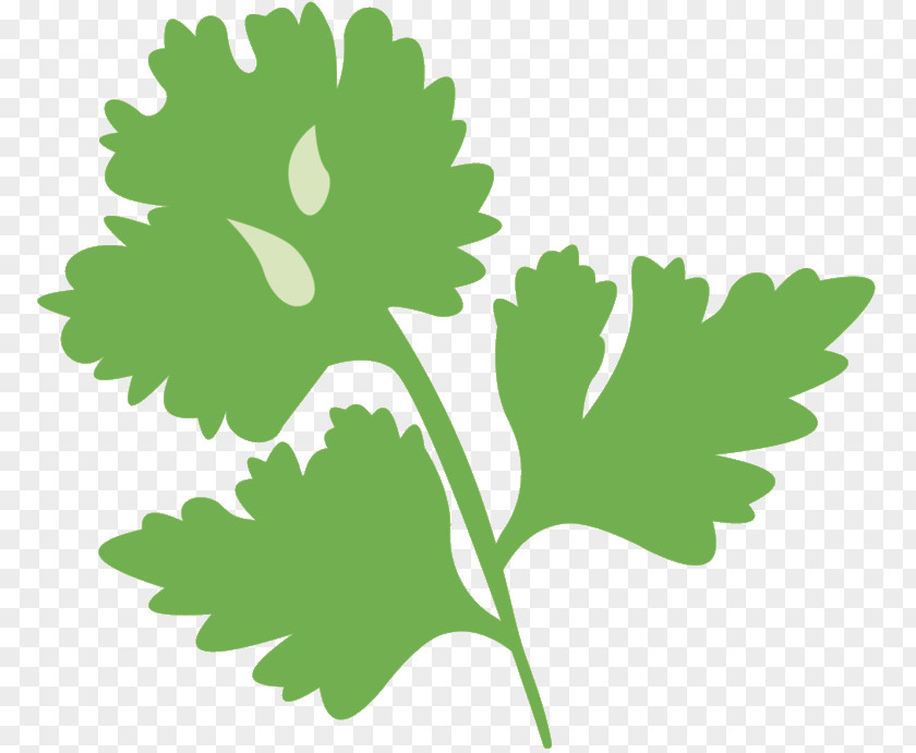 Greens Branch Clip Art Plant Stem Leaf PNG