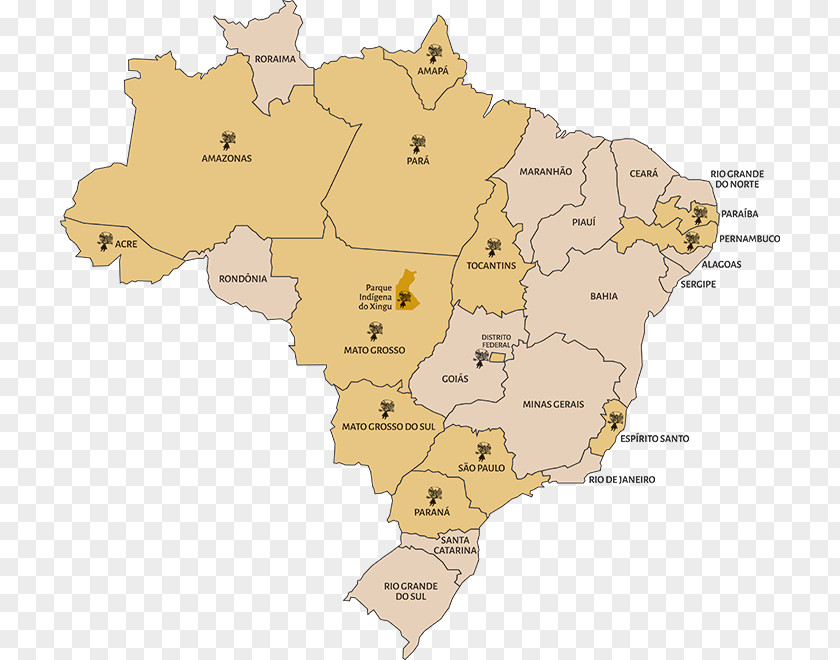 Map Regions Of Brazil Brasilian Alkuperäiskansat Xingu National Park Mapa Polityczna PNG