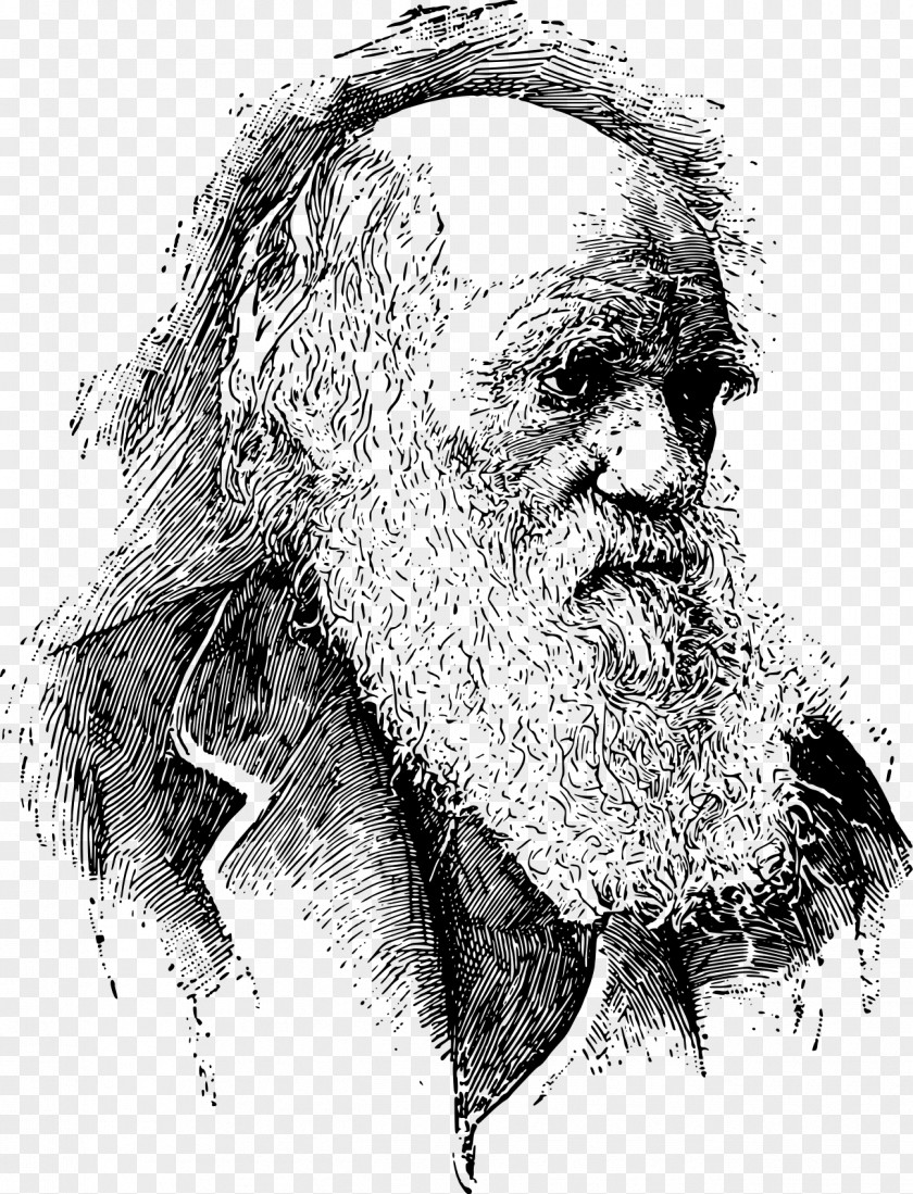 On The Origin Of Species Descent Man PNG the of Man, and Selection in Relation to Sex Rough Guide Evolution Who Was Charles Darwin?, science clipart PNG