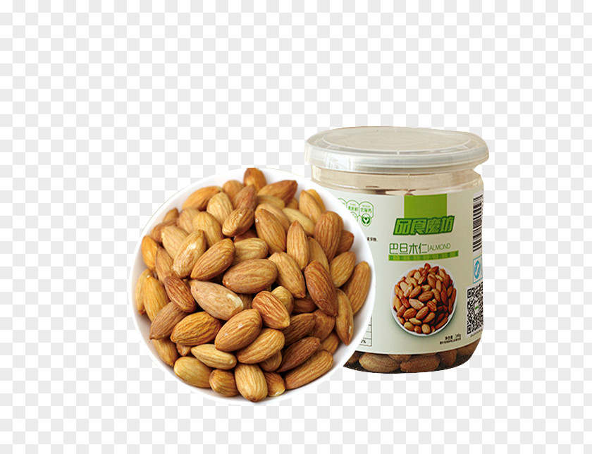 Shell Almonds Nut Almond Apricot Kernel Dried Fruit PNG