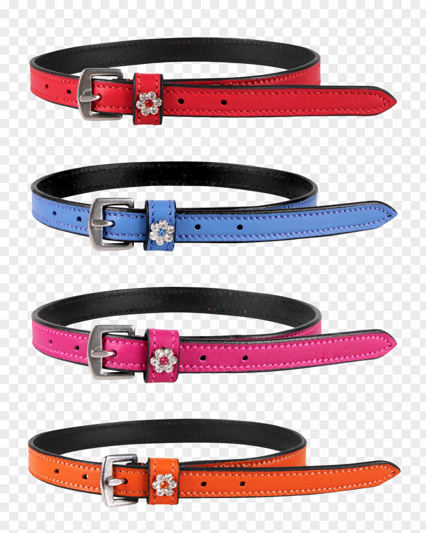 Belt Strap Dog Collar Leash PNG