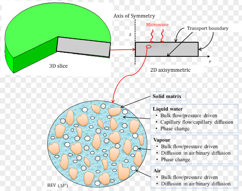 Line Diagram Organism PNG