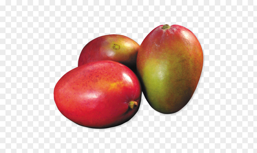 Accessory Fruit Food Biology Mango PNG