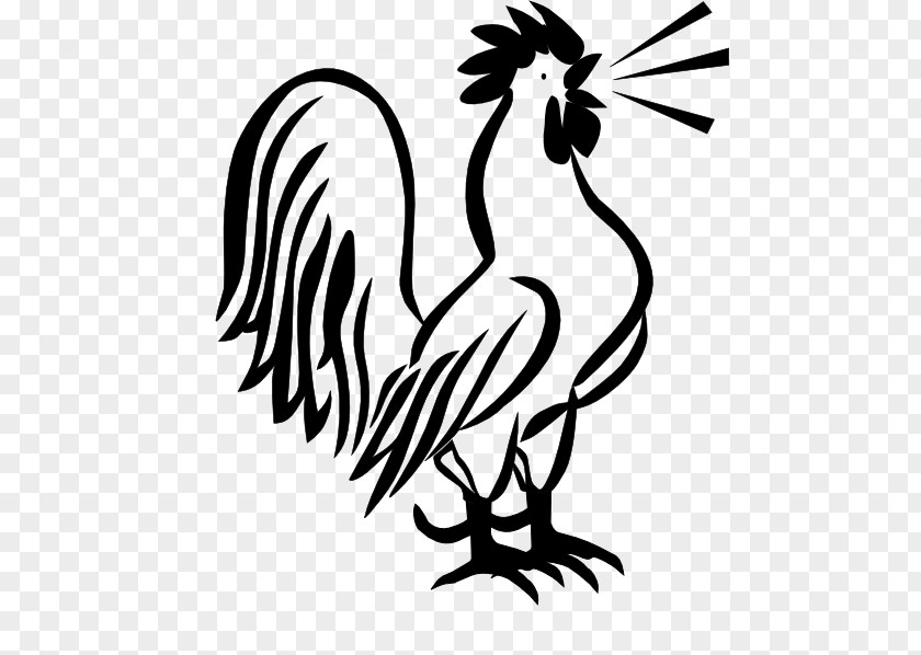 French Rooster Plymouth Rock Chicken Galliformes Clip Art PNG
