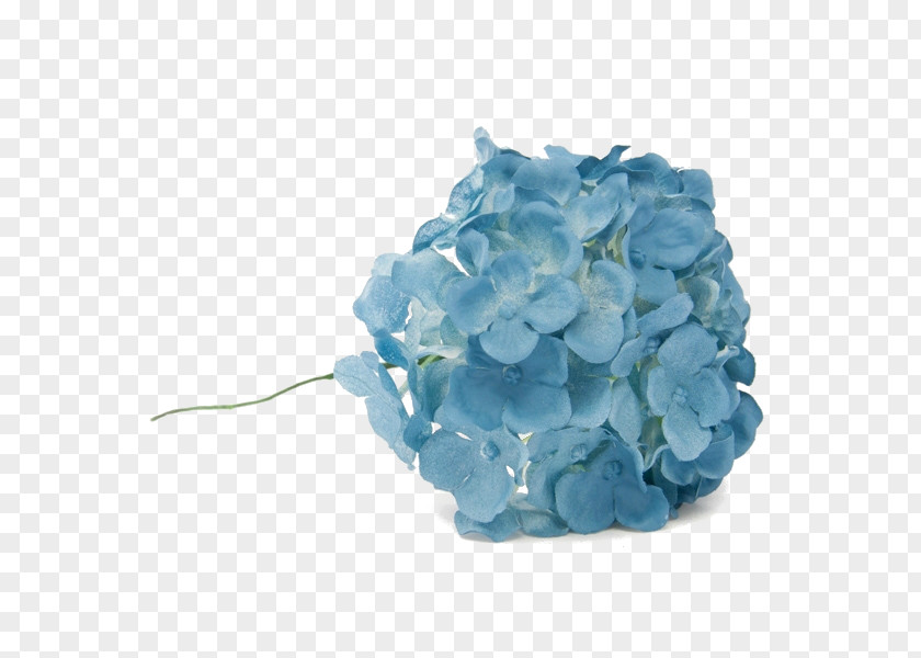 Hortensia Flower Bouquet Blue Hydrangea Flamenco PNG