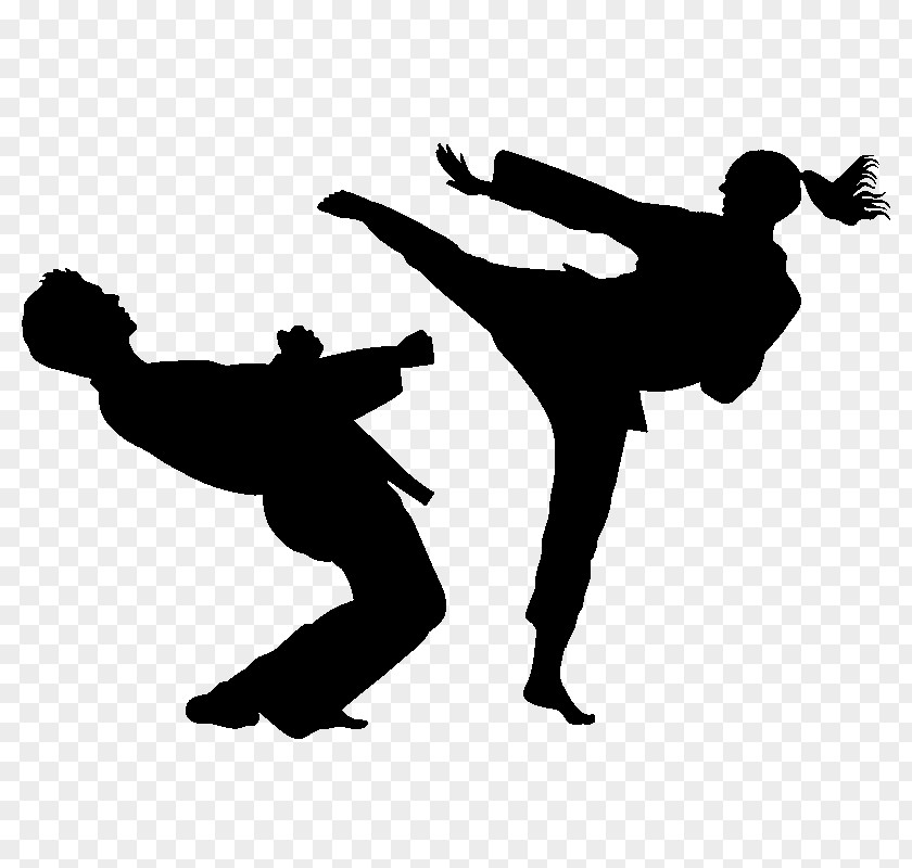Karate Martial Arts Sport Taekwondo Silhouette PNG