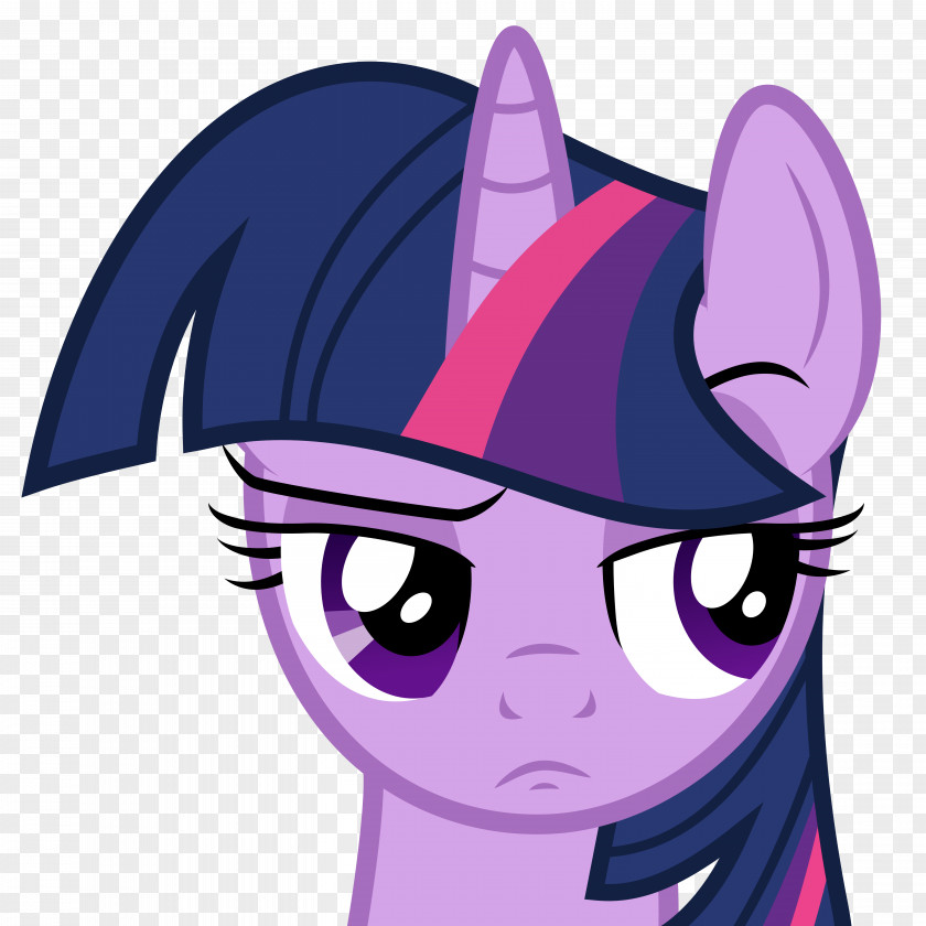 My Little Pony Twilight Sparkle Pinkie Pie Spike Rarity Applejack PNG