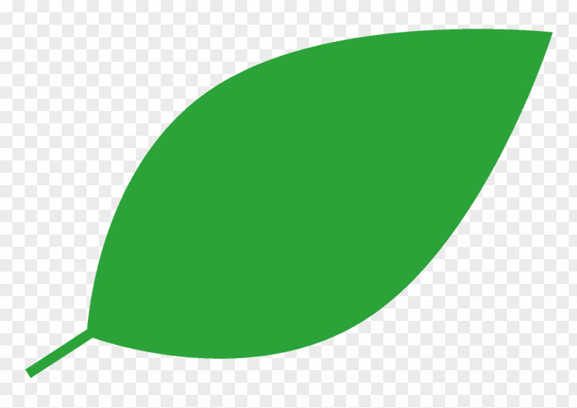 One Word Green Leaf Line PNG
