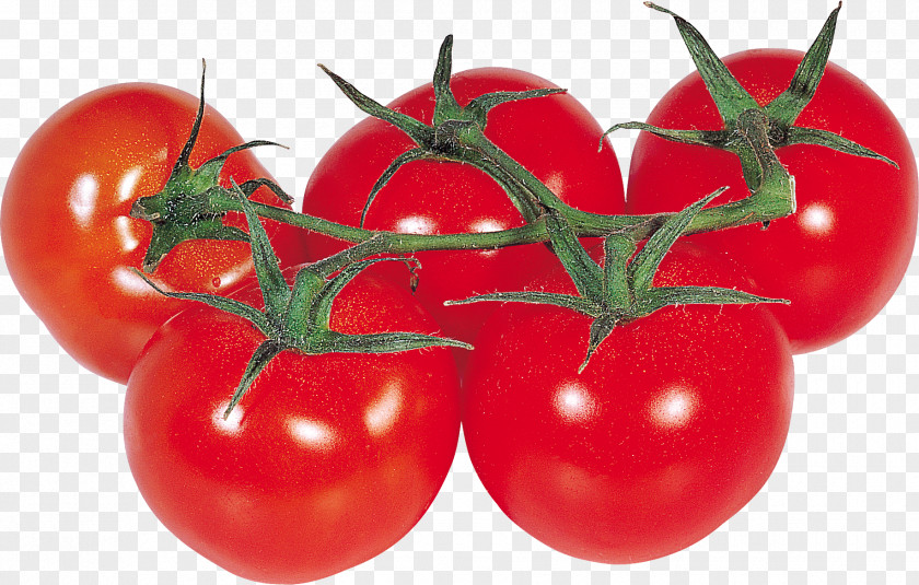 Tomato Cherry Fried Green Tomatoes Vegetable Clip Art PNG