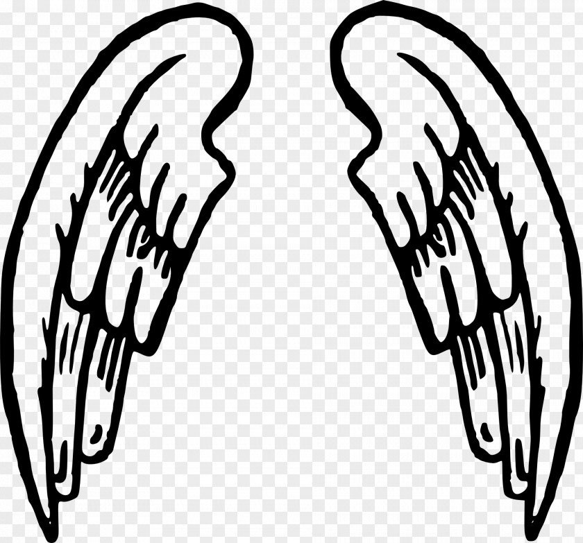 Wings Drawing Cartoon Clip Art PNG