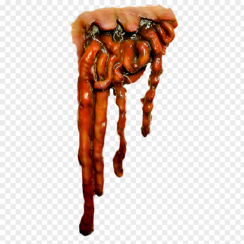 Gastrointestinal Tract Pile Of Guts Television Film PNG