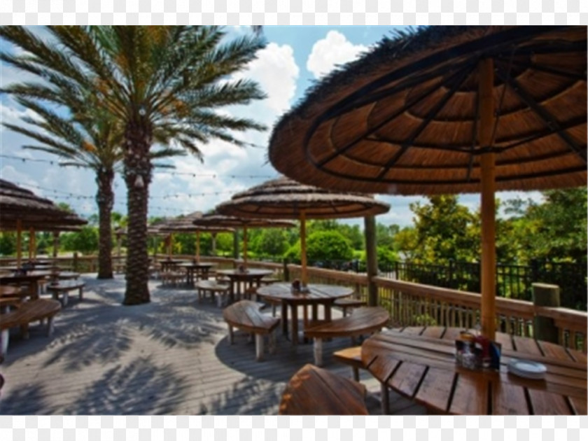 Vacation Holiday Inn Club Vacations At Orange Lake Resort Kissimmee PNG