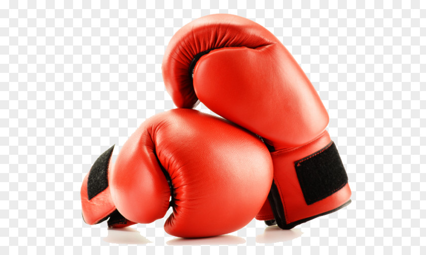 Boxing Gloves Picture Glove PNG