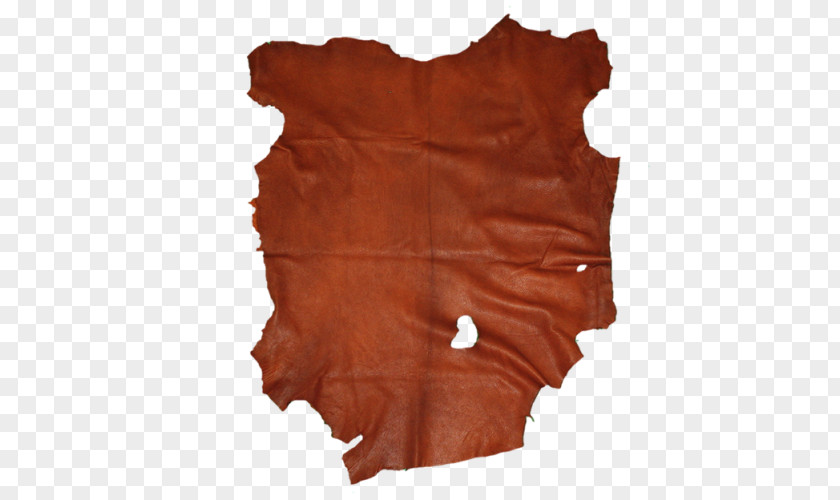 Cow Leather Wood /m/083vt PNG