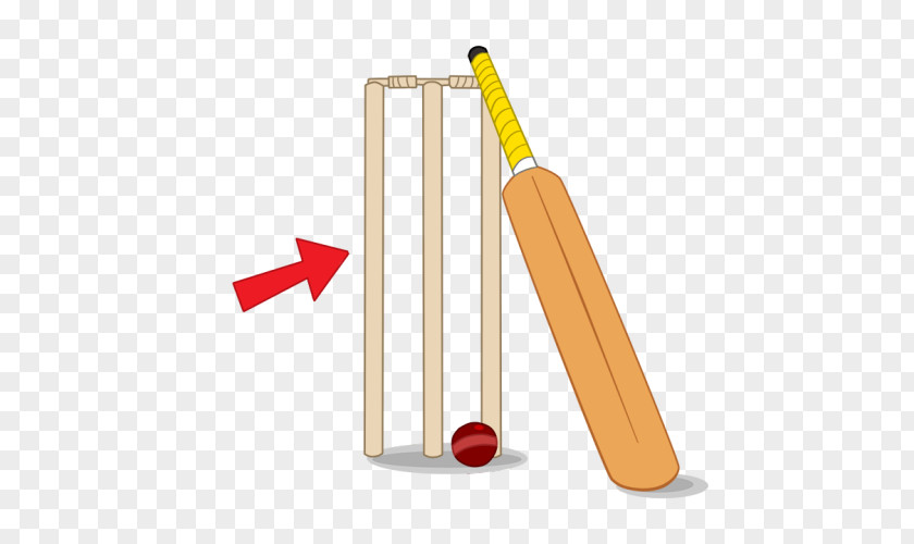 Cricket Bats PNG