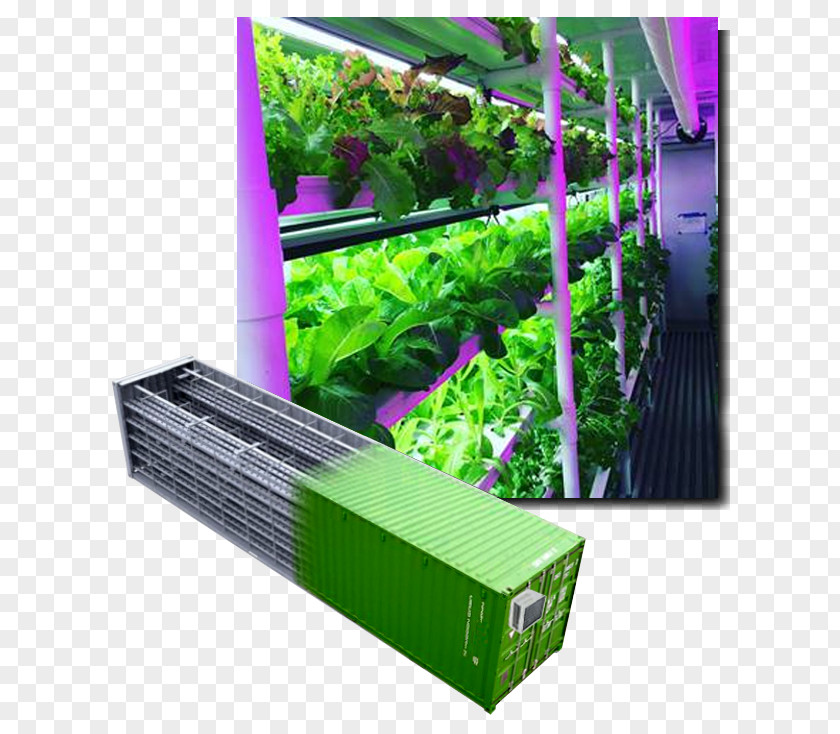 Lettuces Intermodal Container Hydroponics Agriculture Shipping Farm PNG
