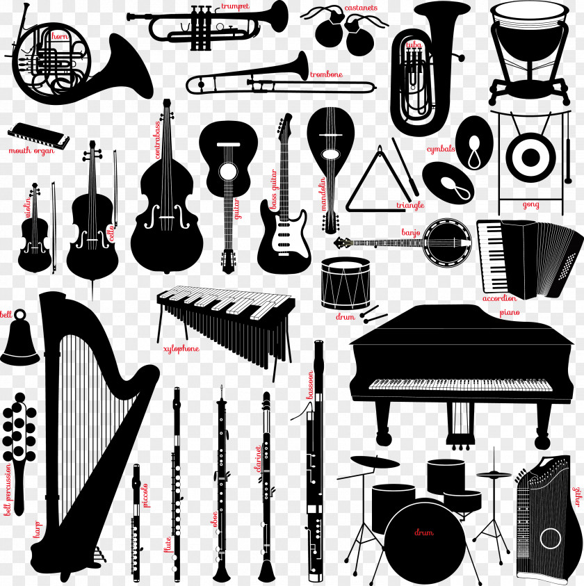 Musical Instruments Instrument Illustration PNG
