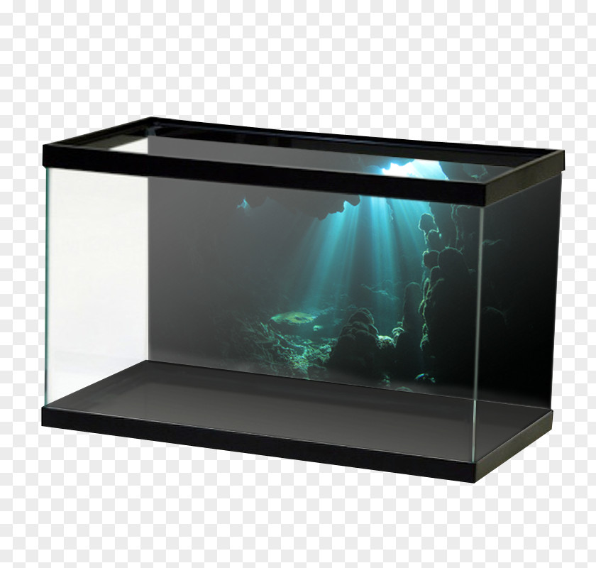 Underwater Products My Fish Tank Aquarium Koi Terrarium Pelvicachromis Pulcher PNG