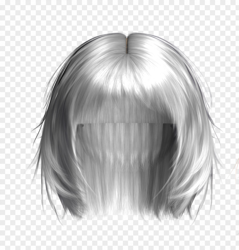 Wig Hairstyle PNG