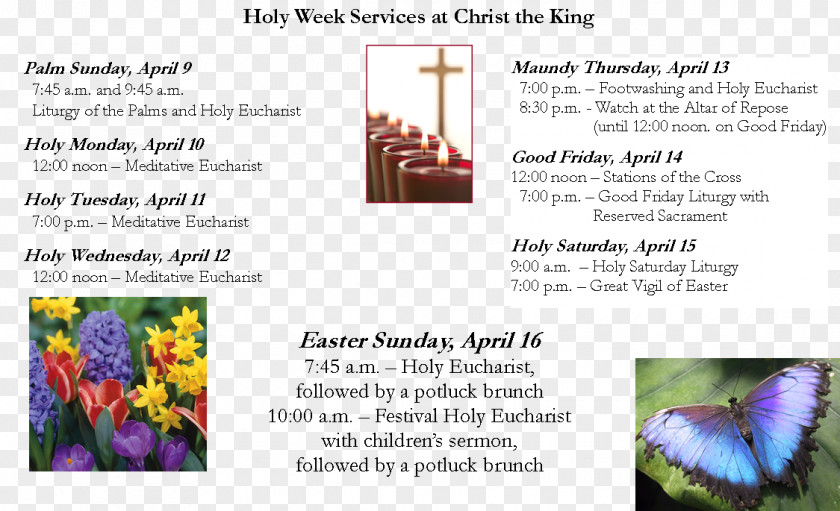 HOLY WEEK Flowering Plant Advertising Butterfly PNG