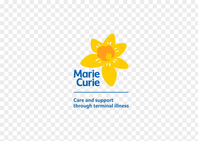 Marie Curie Great Daffodil Appeal Terminal Illness Charitable Organization Fundraising PNG