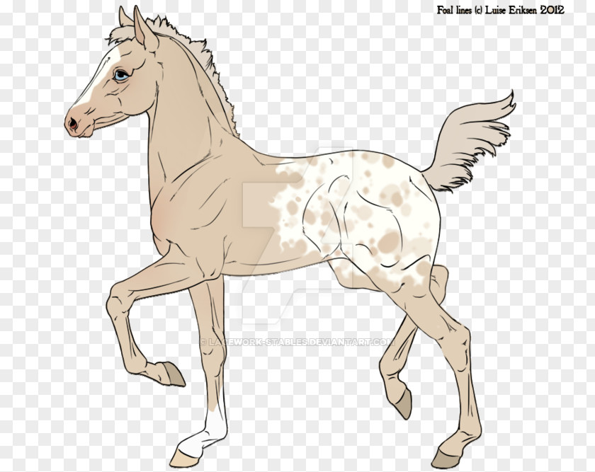 Mustang Mule Foal Bridle Stallion Colt PNG