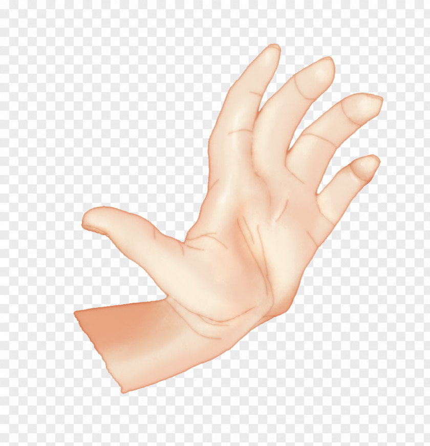Nail Thumb Hand Model Glove PNG