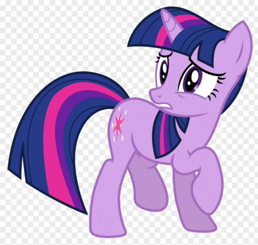 Twilight Pony Rainbow Dash Sparkle PNG