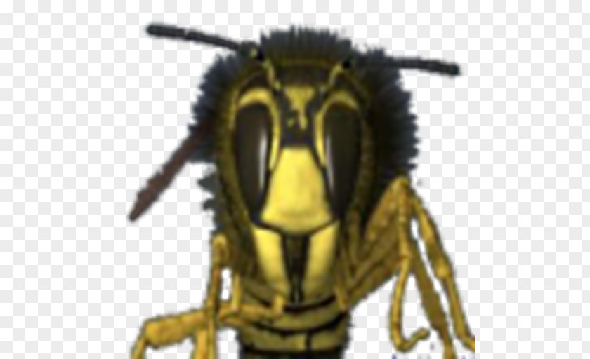 Bee Sting Hornet Wasp Head Technology PNG