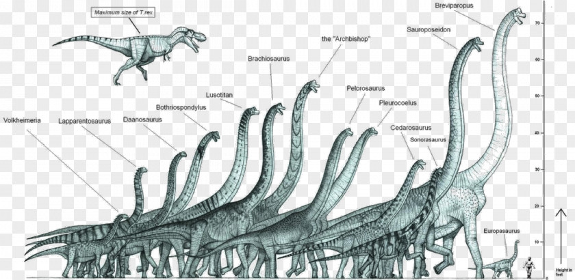 Bill Gate Dinosaur Size Brachiosaurus Ultrasaurus Sauroposeidon PNG